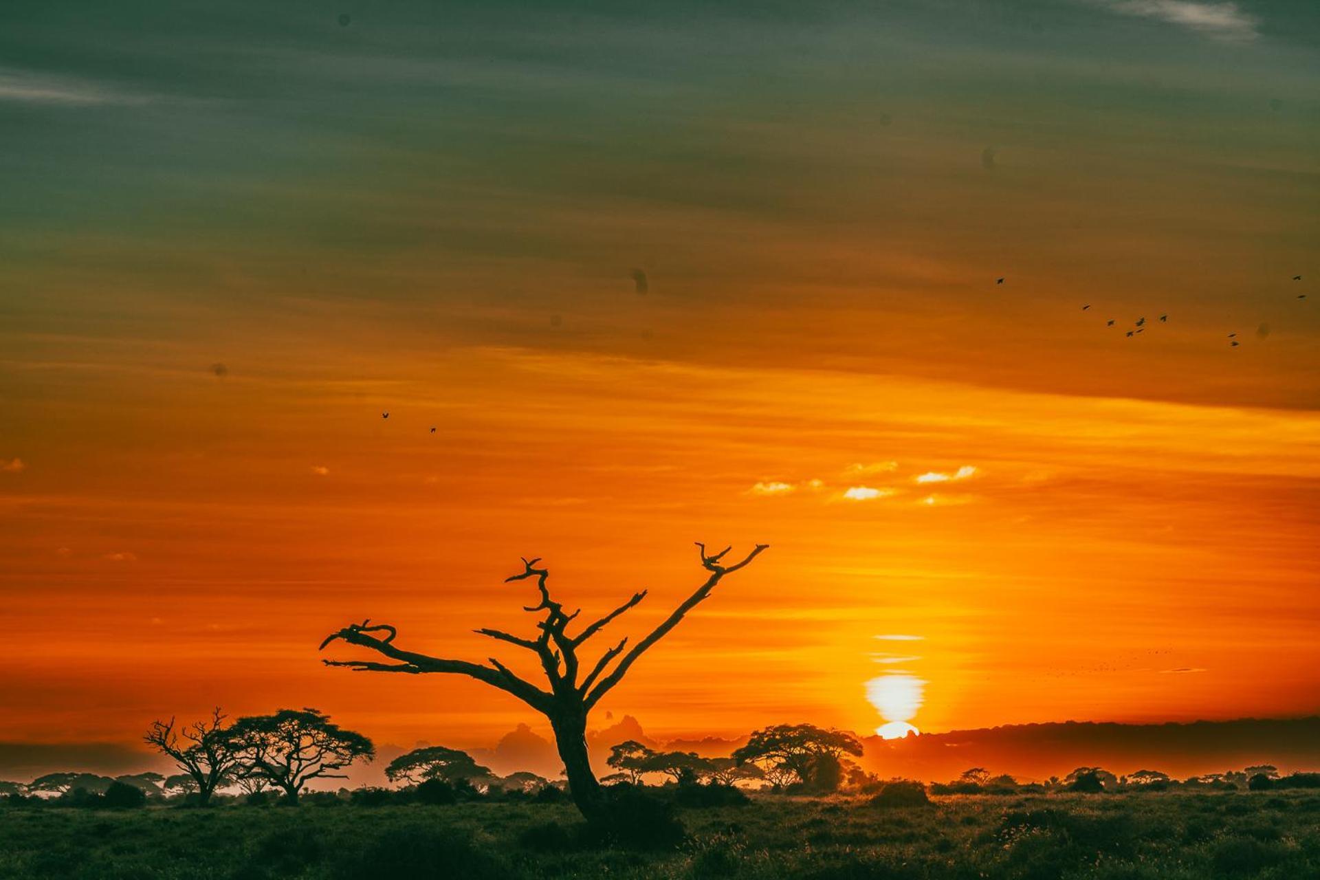 Kilimanjaro View Cabin-Amboseli Oloitokitok Bilik gambar